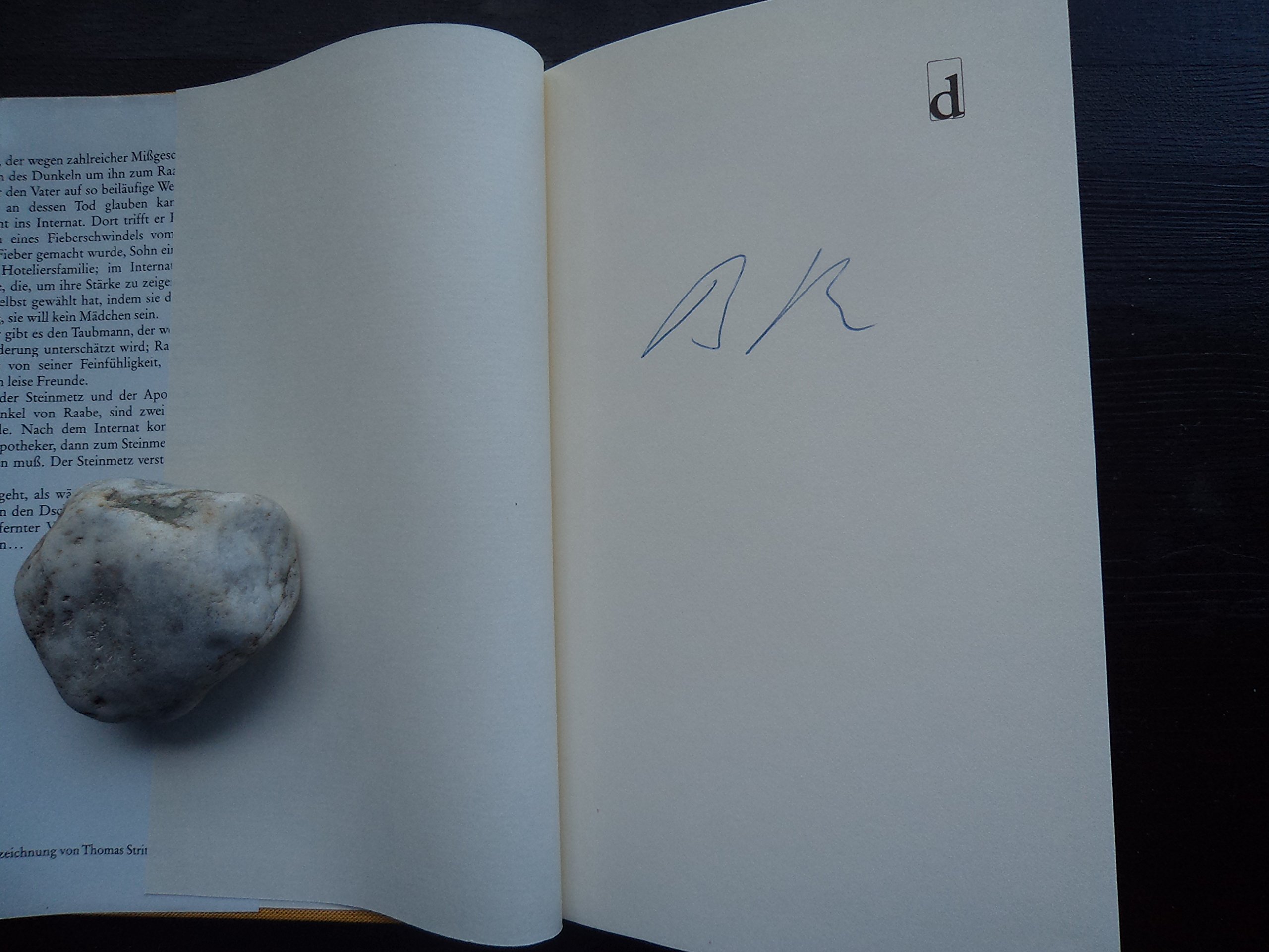 Raabe Baikal: Roman (German Edition)