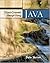 Object-Oriented Design Using Java [Hardcover] [2008] (Author) Dale Skrien