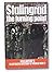 Stalingrad: The Turning Point (#06625)