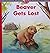 Beaver Gets Lost (Young Families)