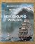 Story of the New England Whalers