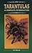 Tarantulas by Al David (199...