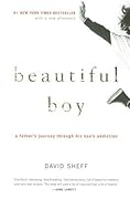 Beautiful Boy[A Father&#x27;s Journey Through His Son&#x27;s Addiction]  [BEAUTIFUL BOY] [Paperback] 