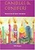 Candles and Conifers: Resources for All Saints' to Advent by Ruth Burgess (1-Dec-2005) Paperback