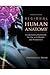 Regional Human Anatomy: A Laboratory Workbook for Use with Models and Prosections