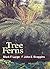 Tree Ferns