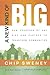 A New Kind of Big: How Churches of Any Size Can Partner to Transform Communities by Chip Sweney (2011-01-01)