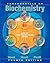 Fundamentals of Biochemistry: Life at the Molecular Level by Donald Voet (Dec 15 2011)
