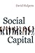 Social Capital by David Halpern (2004-12-10)