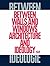 Between Walls and Windows: Architecture and Ideology by Kader Attia (2013-02-28)