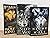 Legends of the Wolves Book Set
