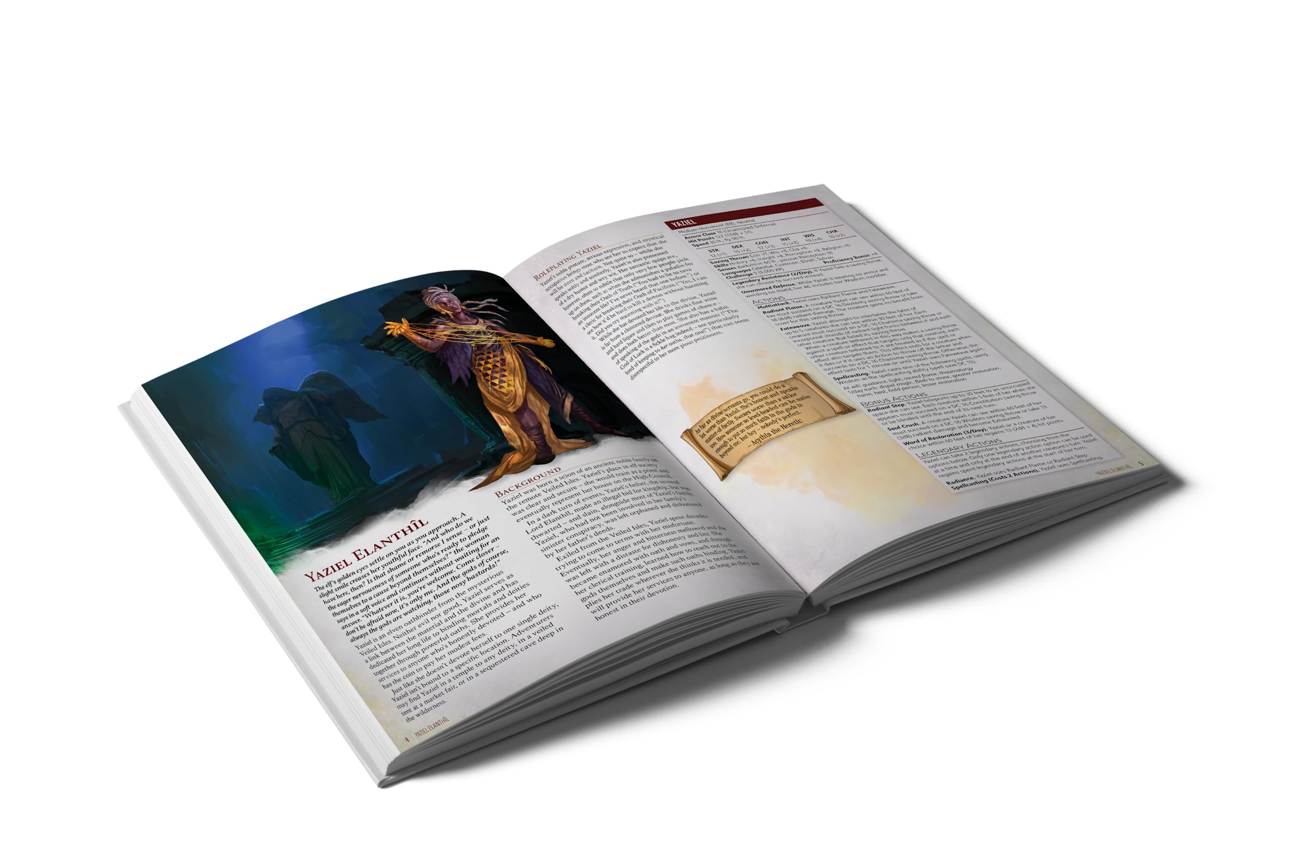 Heretic's Guide to Devotion & Divinity Hardcover (Hardcover)