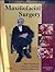 Maxillofacial Surgery by Peter Ward Booth