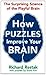 How Puzzles Improve Your Brain: The Surprising Science of the Playful Brain
