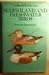 A colour guide to familiar Marshland and freshwater birds