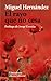 El rayo que no cesa / The Ray that does not Stop (Literatura / Literature) by Miguel Hernandez (2010-03-30)