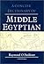 Concise Dictionary of Middle Egyptian (Egyptology: Griffith Institute) by R. O. Faulkner (1970-01-01)