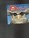 Owls