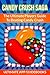 [Candy Crush Saga by Ultimate App Guidebooks