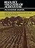 Resource Structure of Agriculture: An Economic Analysis by Keith Cowling (2013-10-03)