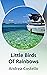 Little Birds Of Rainbows by Andrea Costello