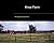 Knox Farm by Avery Knox