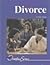 Divorce by Liesa Abrams