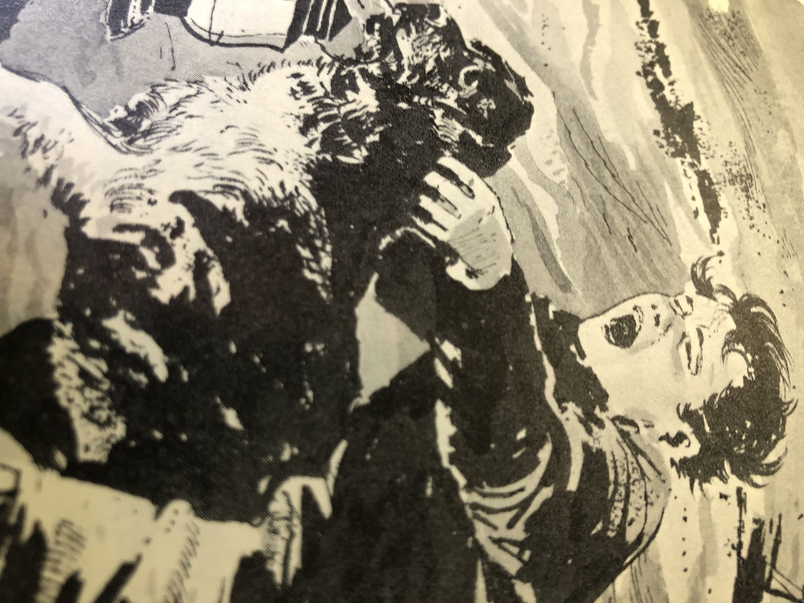 Lighthouse Boy (Hardcover)