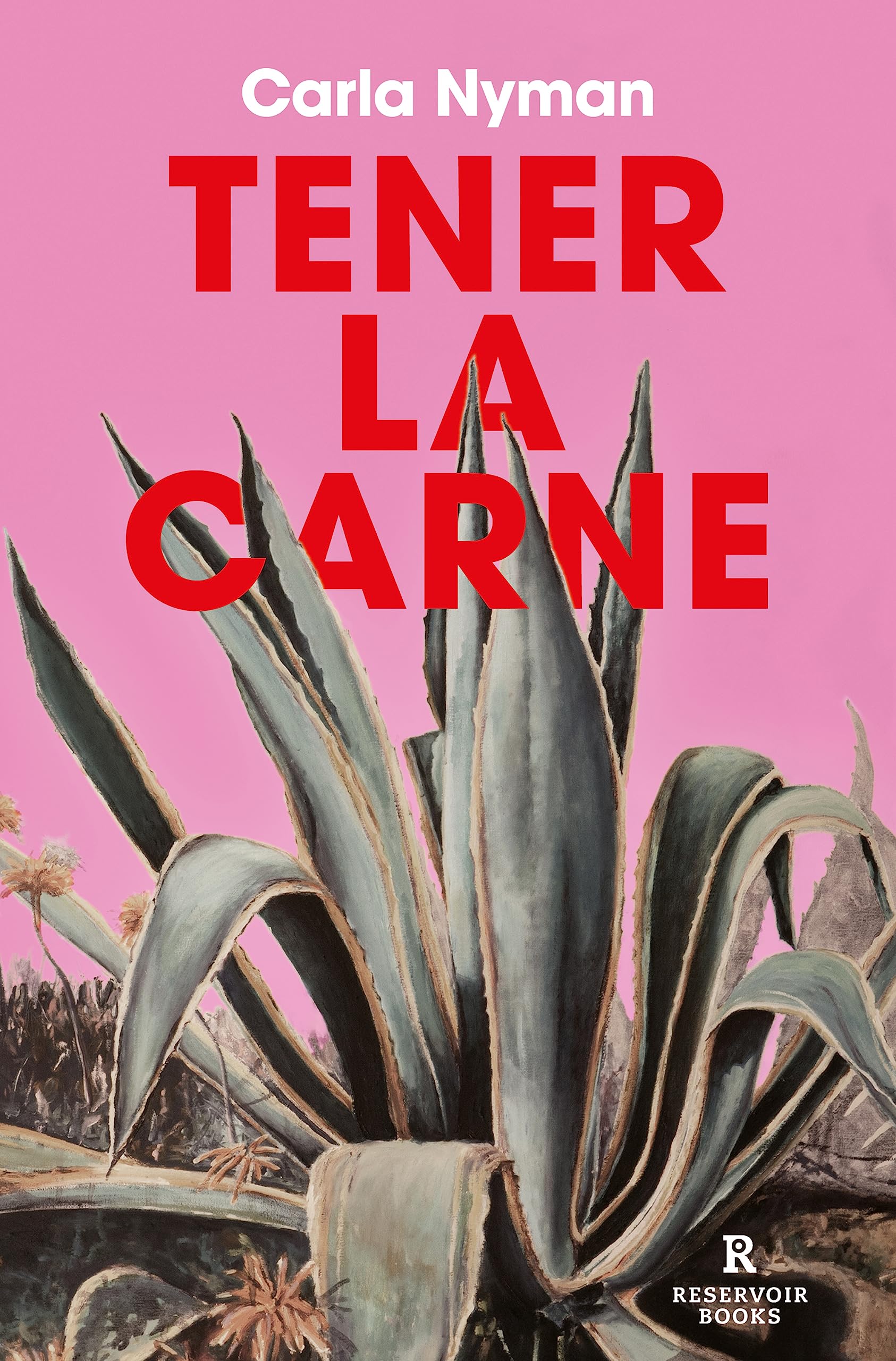 Tener la carne (Paperback)