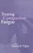 Treating Compassion Fatigue (00) by Figley, Charles R [Hardco... by Figley