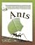 Ants (Secret World of)