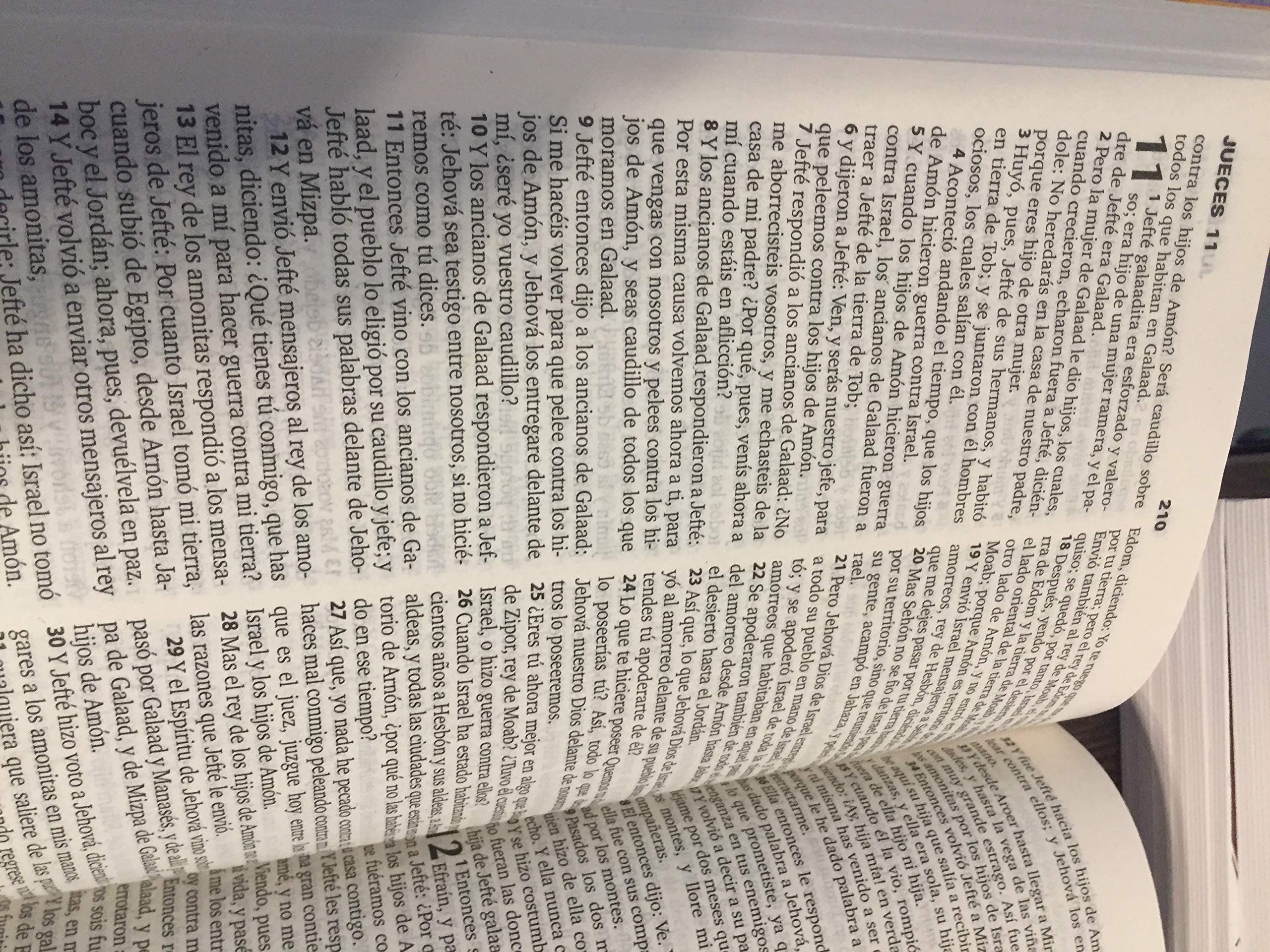 Santa Biblia Mig & Meg