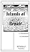 Islands of Repair by Leslie Bramm
