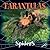 Tarantulas (Spiders Discovery Library) by Edited (2009-02-01)