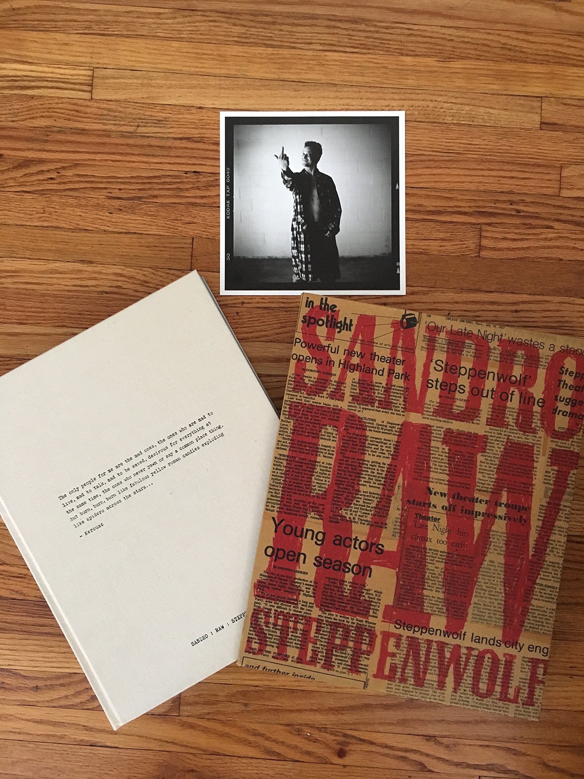 Raw: Steppenwolf: Photographs By Sandro Miller (Hardcover)