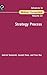 [(Strategy Process )] [Author by Gabriel Szulanski