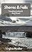 Shores & Falls: Traveling Iceland's Ring Road