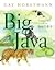 Big Java 3RD EDITION