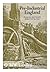 Pre-industrial England: Economy and Society from 1500-1750 (Everyman's University Library)