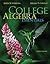 College Algebra Essentials w/ Connect Access Card Hosted by ALEKS Access Card 52 Weeks by John Coburn (2013-02-07)