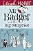 Mr Badger and the Big Surprise by Hobbs, Leigh (2013) Paperback