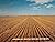 Between Home and Heaven: Co...