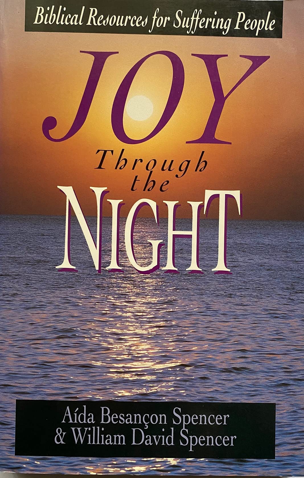 Joy Through the Night: Biblical Resources for Suffering People (Paperback)