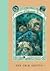 Grim Grotto Book 11 (04) by Snicket, Lemony [Hardcover (2004)] by Lemony Snicket