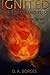 IGNITED The Torch and Fuse: Nuclear Terror at the Olympics by D A Borges (2016-03-18)