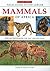 Field Guide to the Larger Mammals of Africa by Mathilde Stuart (2007-09-01)