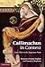 Callimachus in Context: From Plato to the Augustan Poets 1st edition by Acosta-Hughes, Benjamin, Stephens, Susan A. (2012) Hardcover