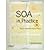SOA in Practice: The Art of Distributed System Design (Paperback) - Common