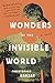 Wonders of the Invisible World by Christopher Barzak (2016-09-06)