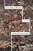 Come Away by Stephen Policoff (2014-11-11)